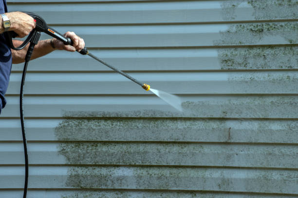 Best Roof Washing  in Grove City, FL